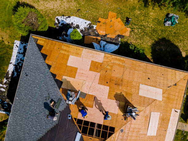 Best Roof Waterproofing Services  in Monticello, WI